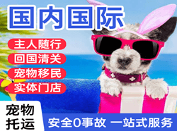 阿坝红原空运公司国际宠物托运 【国