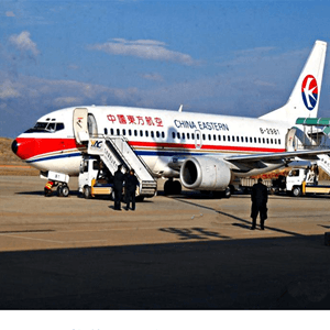 阿坝红原空运公司航空快运业稳步发展的原因是什么？